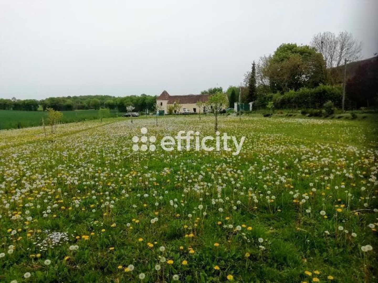 Maison 9 pièces 246 m²