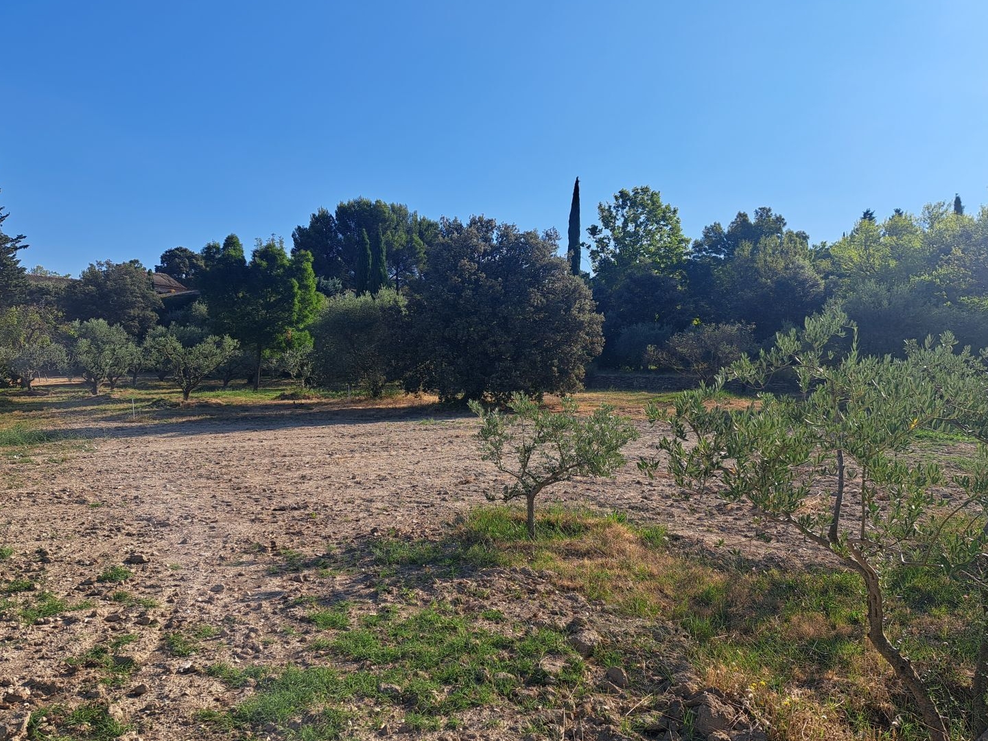 Terrain 780 m²