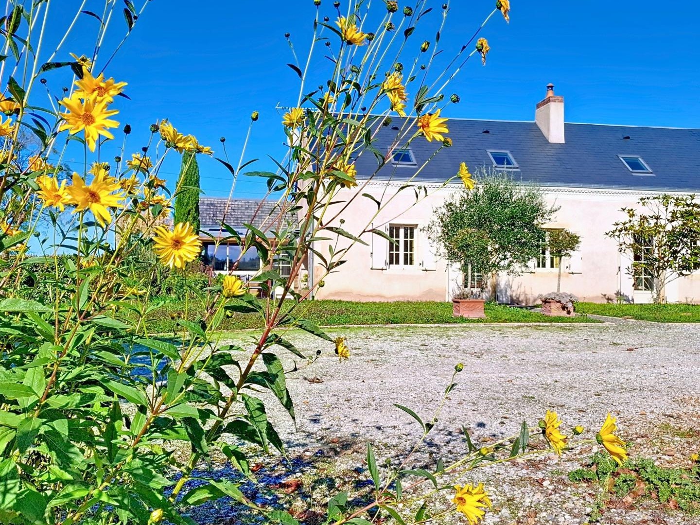LONGERE 72200 BAZOUGES SUR LE LOIR