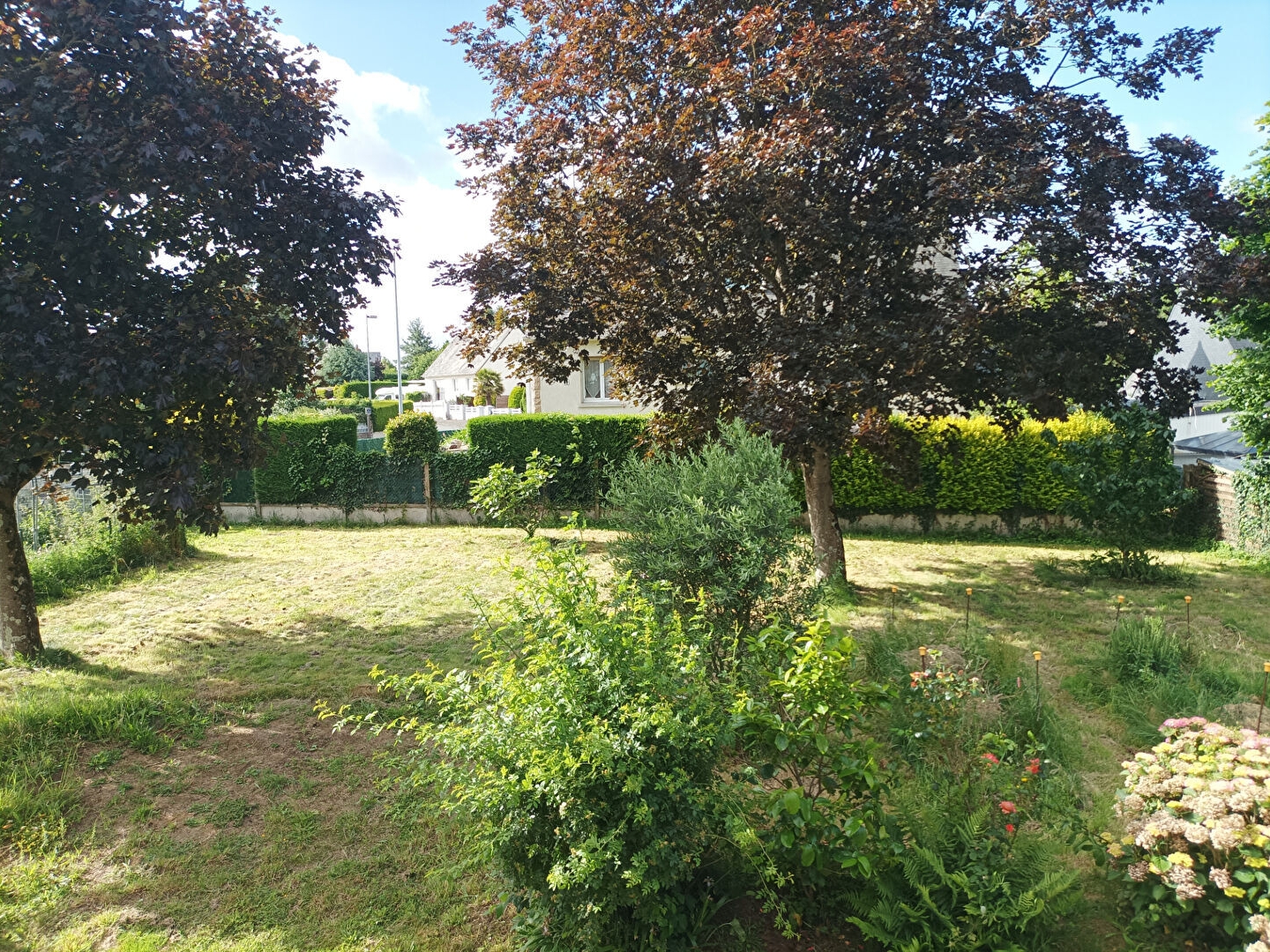 Terrain plat BINIC