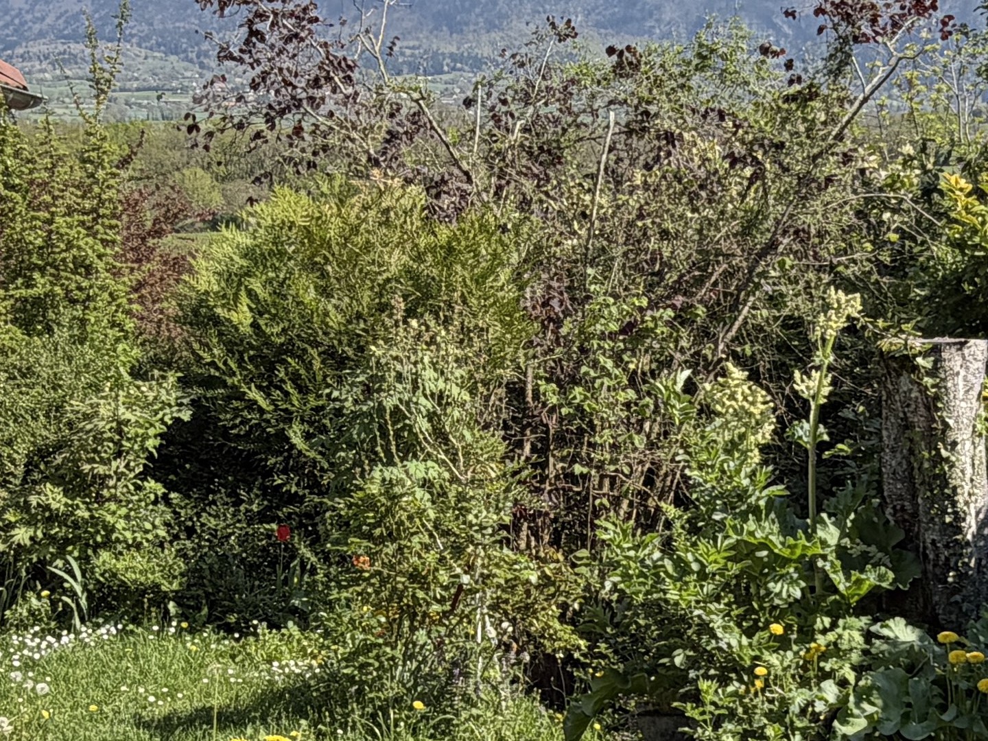 Maison 5 pièces 96 m²