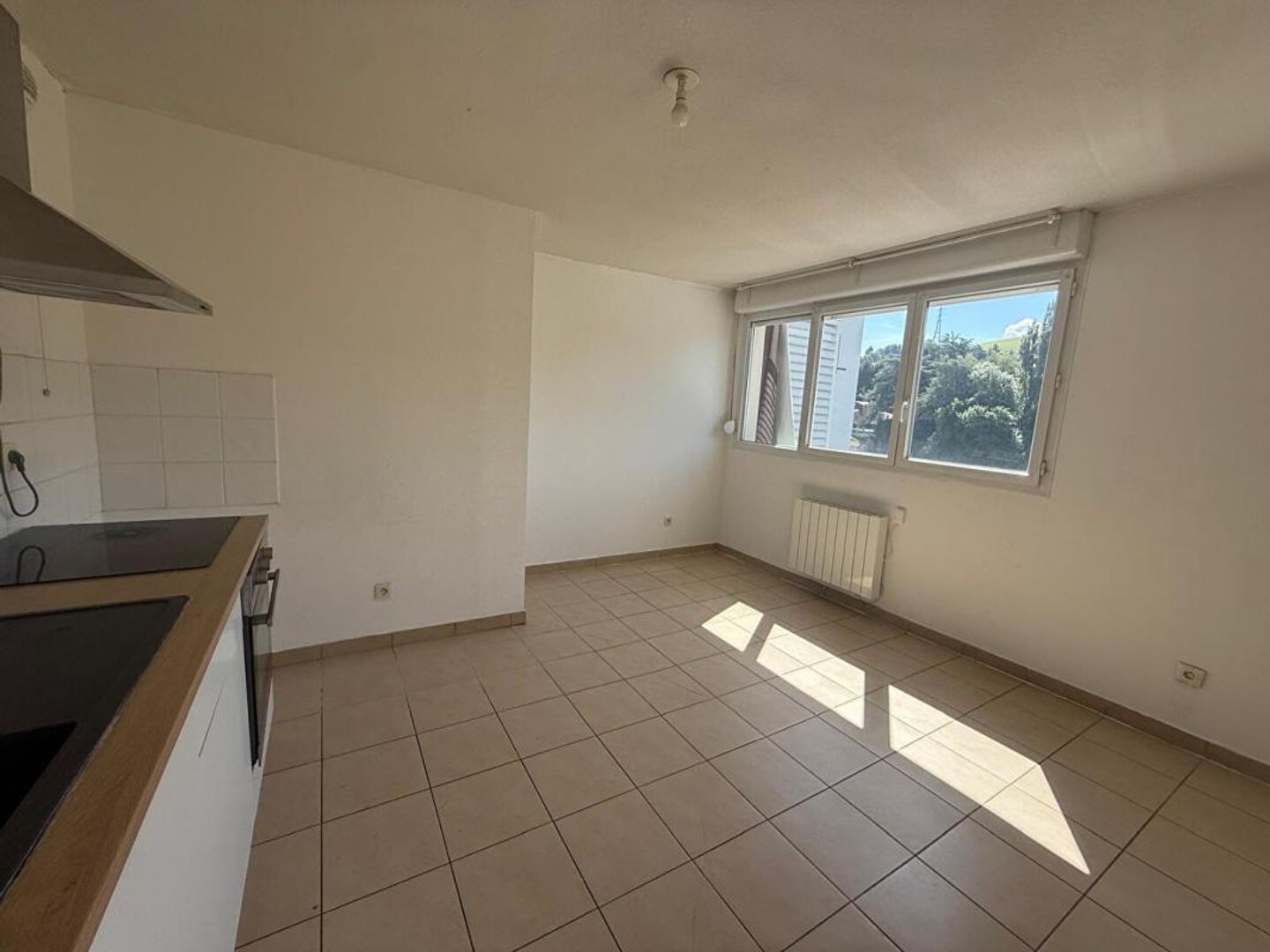 Appartement à vendre - 3 pièces - 77m2 - Saint-Étienne (42000)