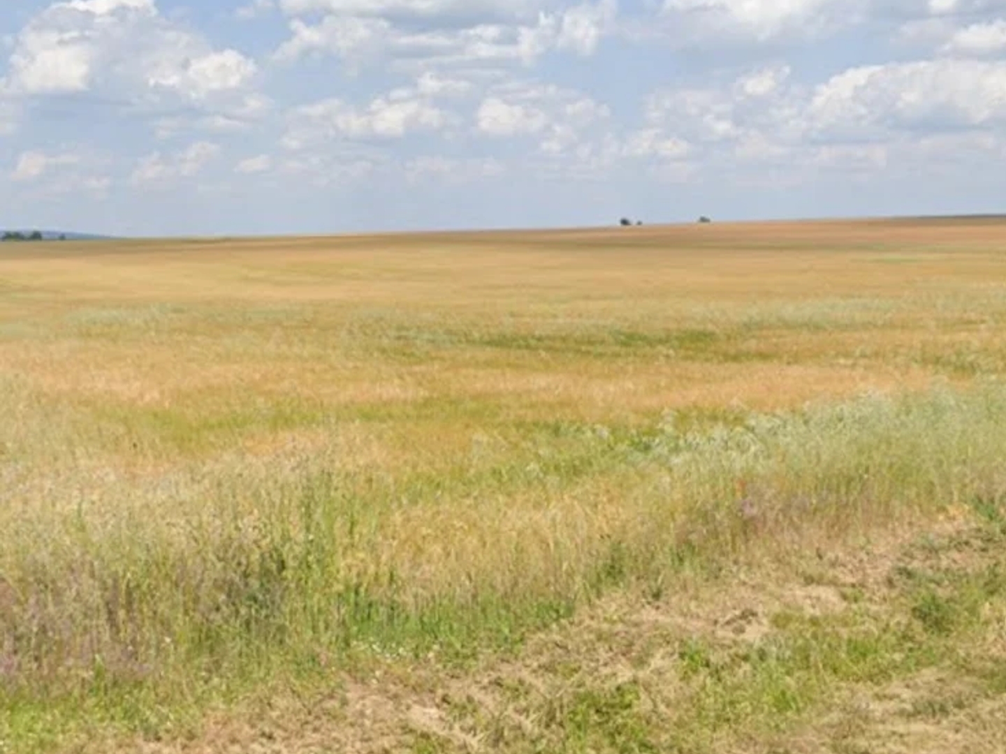 Terrain 800 m²