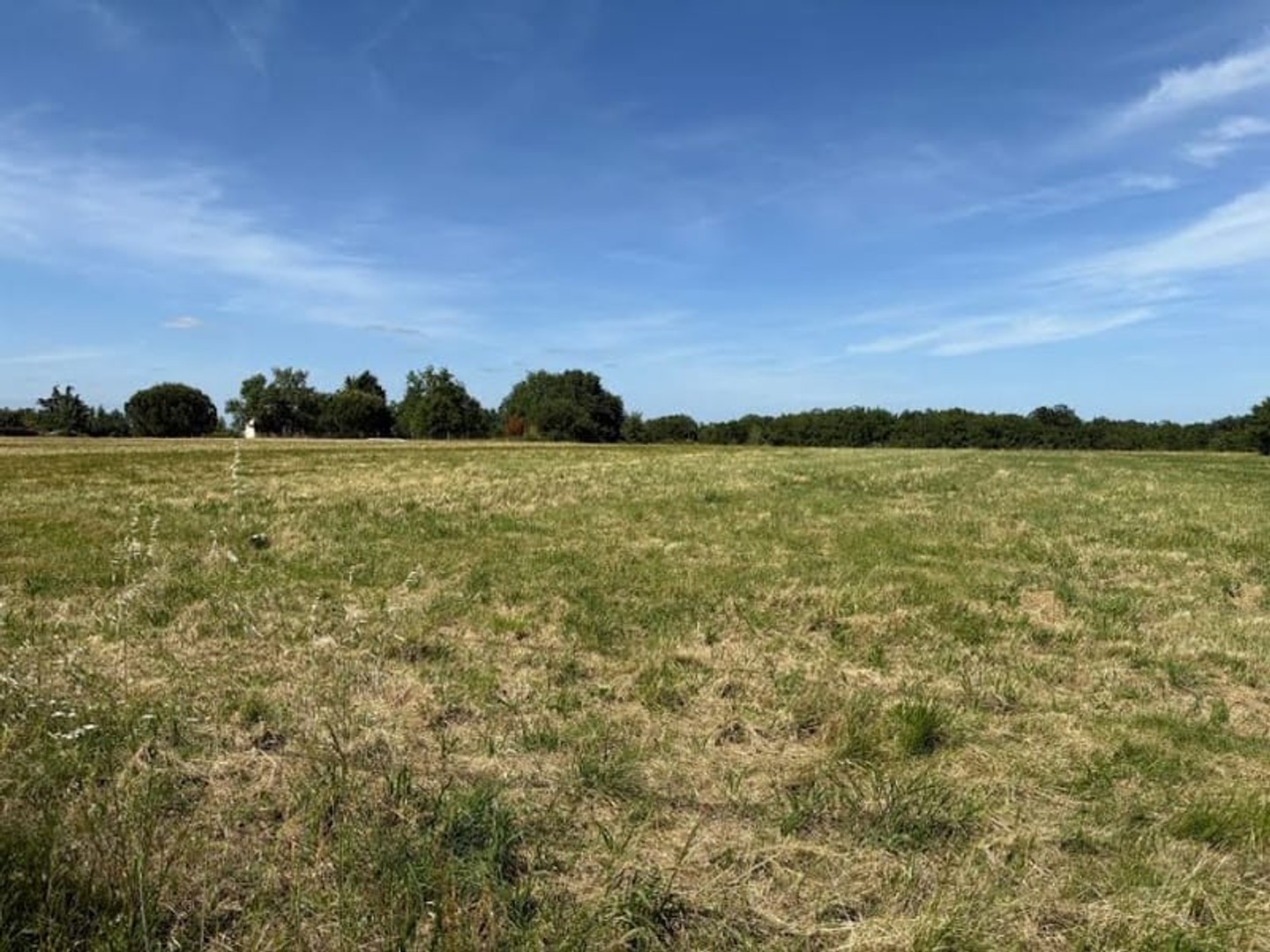 Terrain 700 m²
