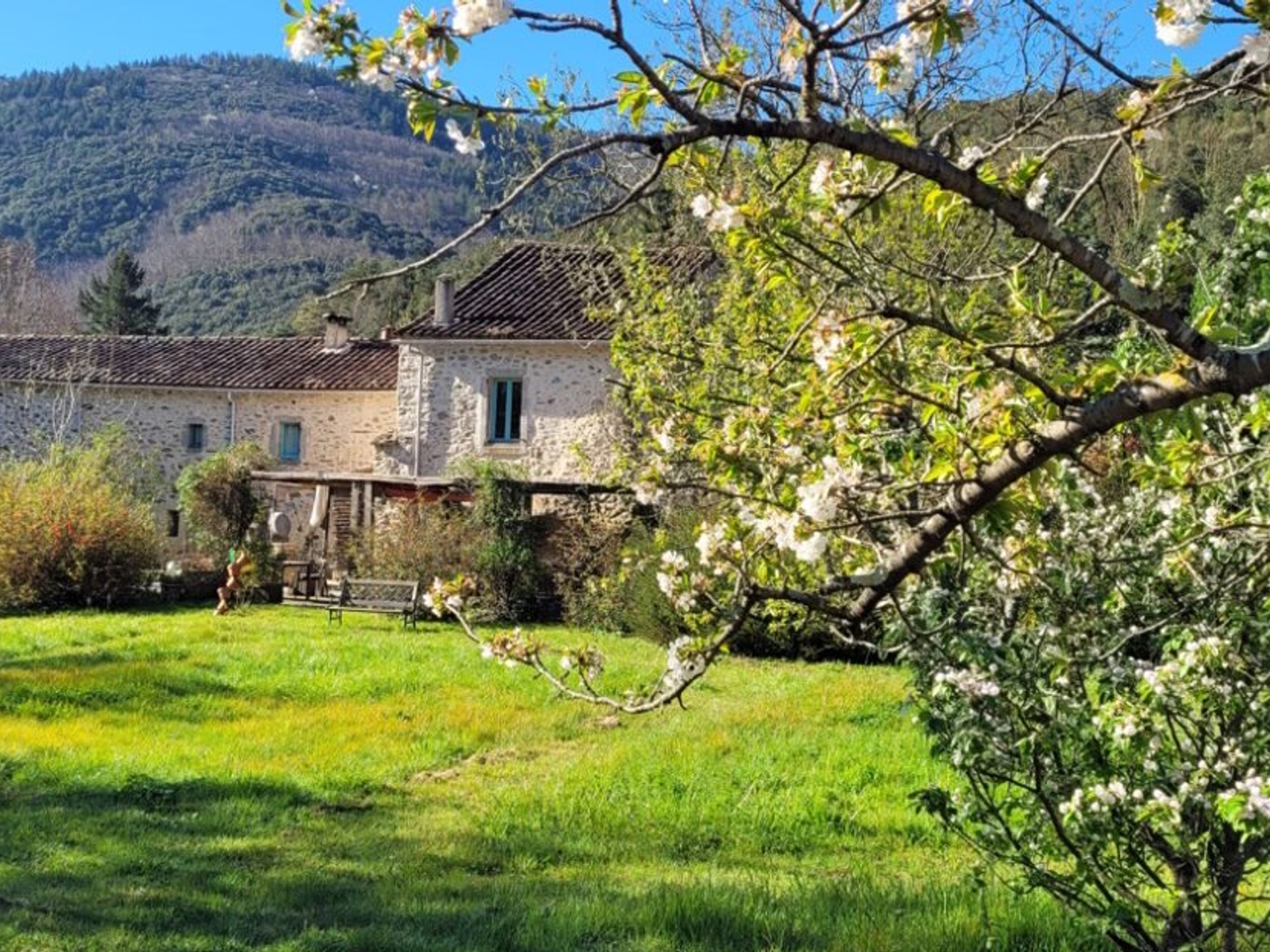Achat : Maison Olargues (34390)