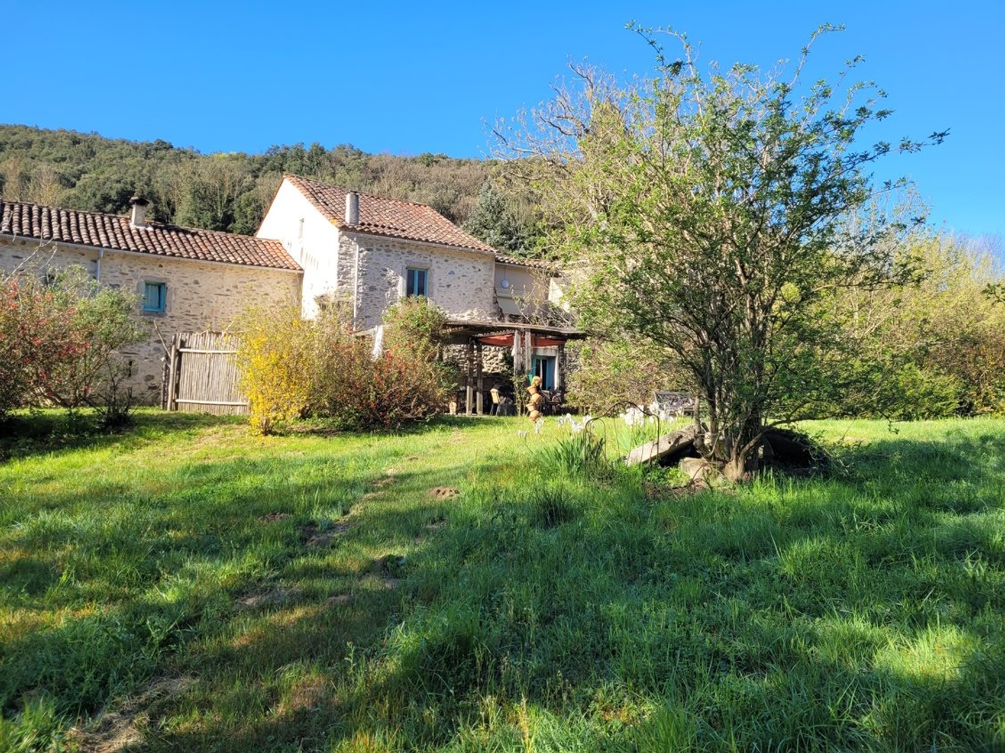 Maison à vendre - 270m2 - Olargues (34390)