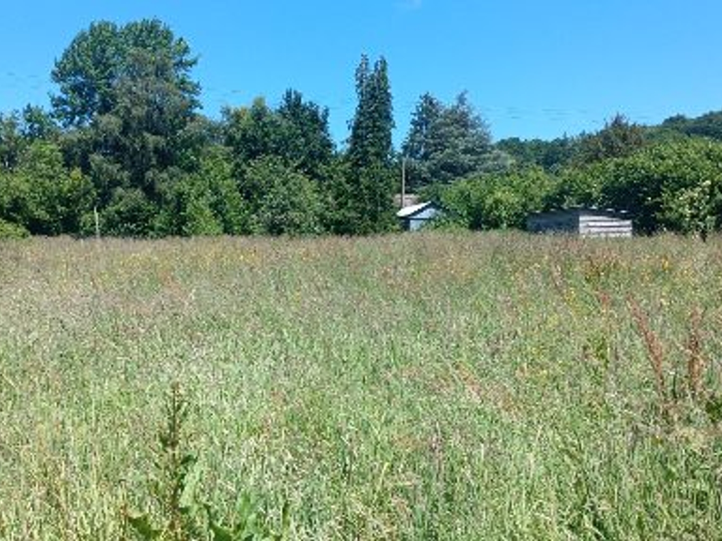 Terrain à vendre - 2106m2 - Tourville-En-Auge (14130)