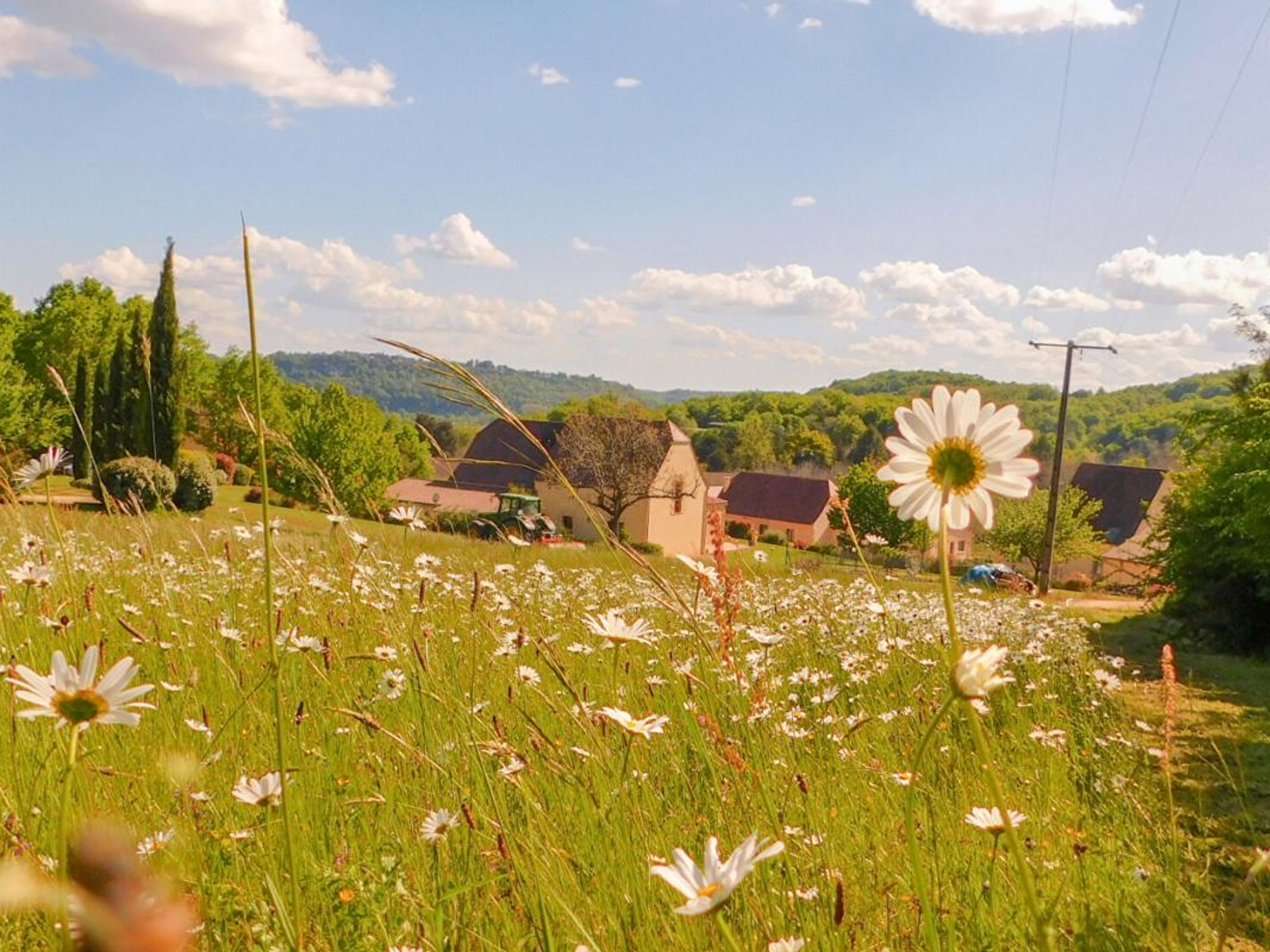 Terrain à vendre - 2561m2 - Vitrac (24200)
