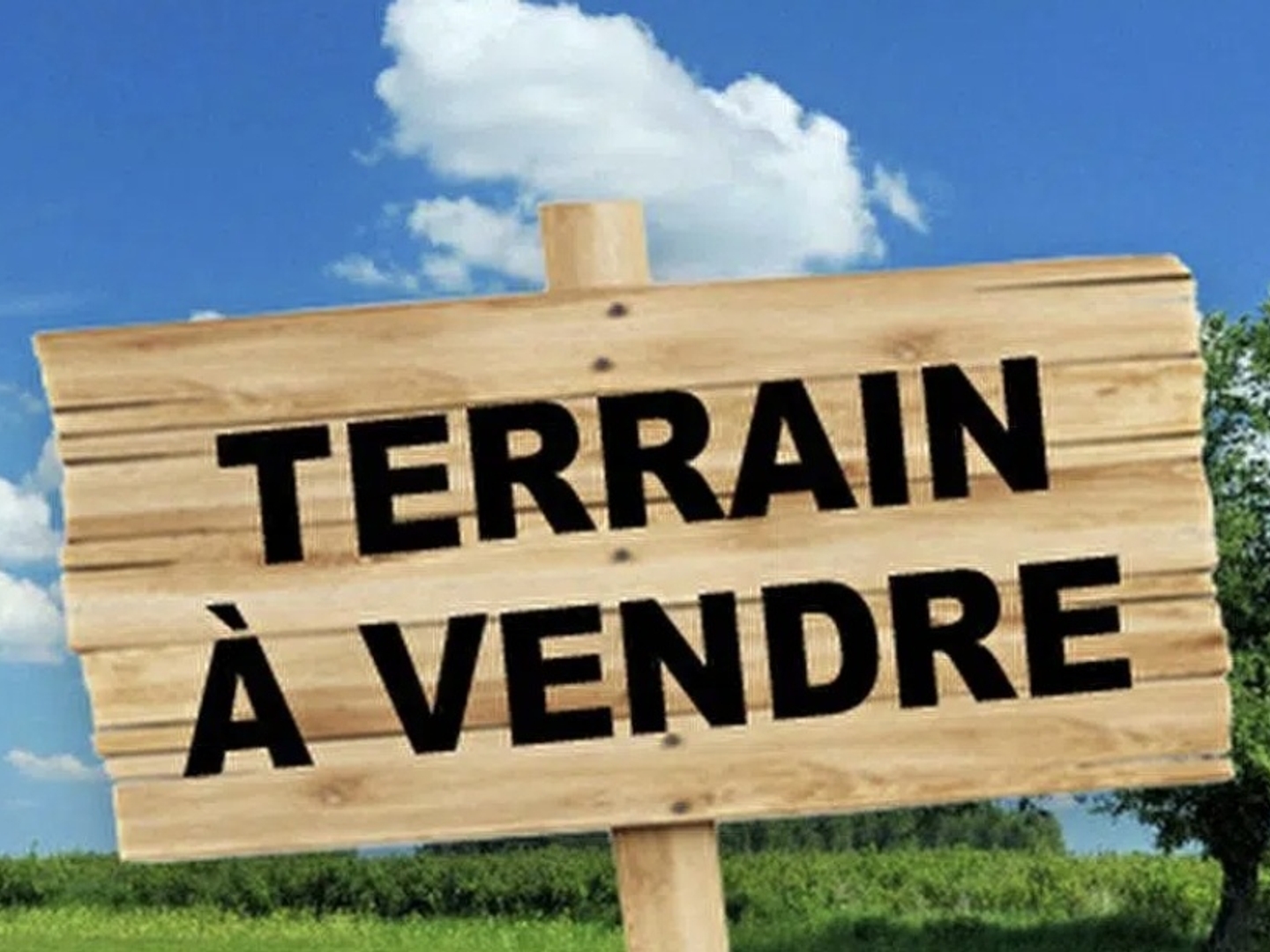 Terrain 116 m²