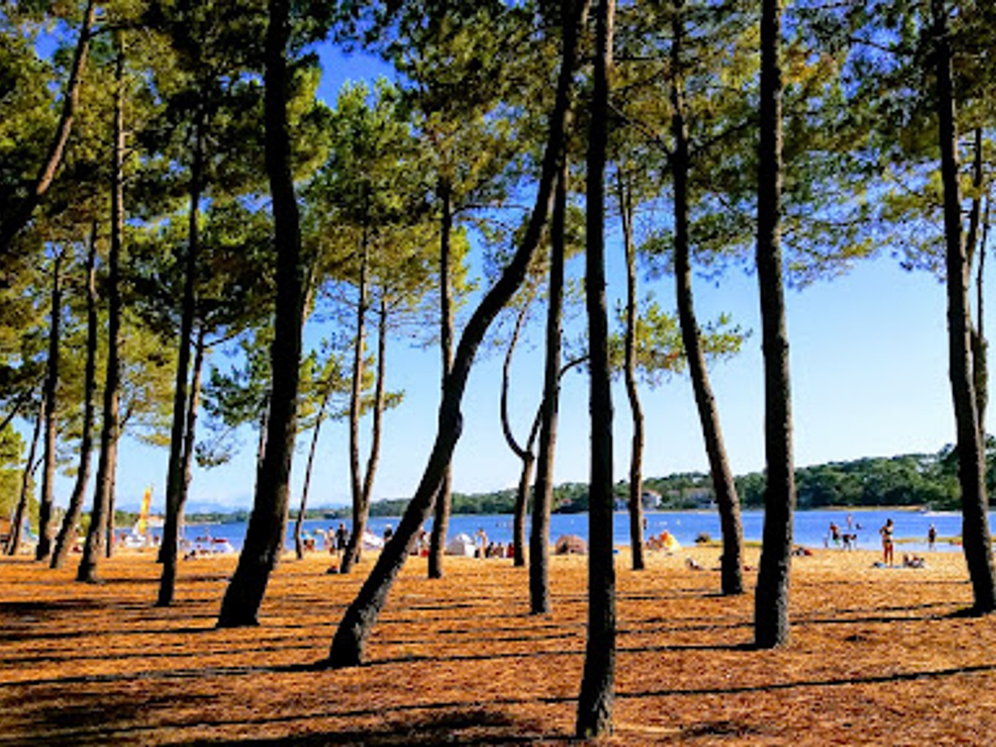 Maison 7 pièces 250 m²