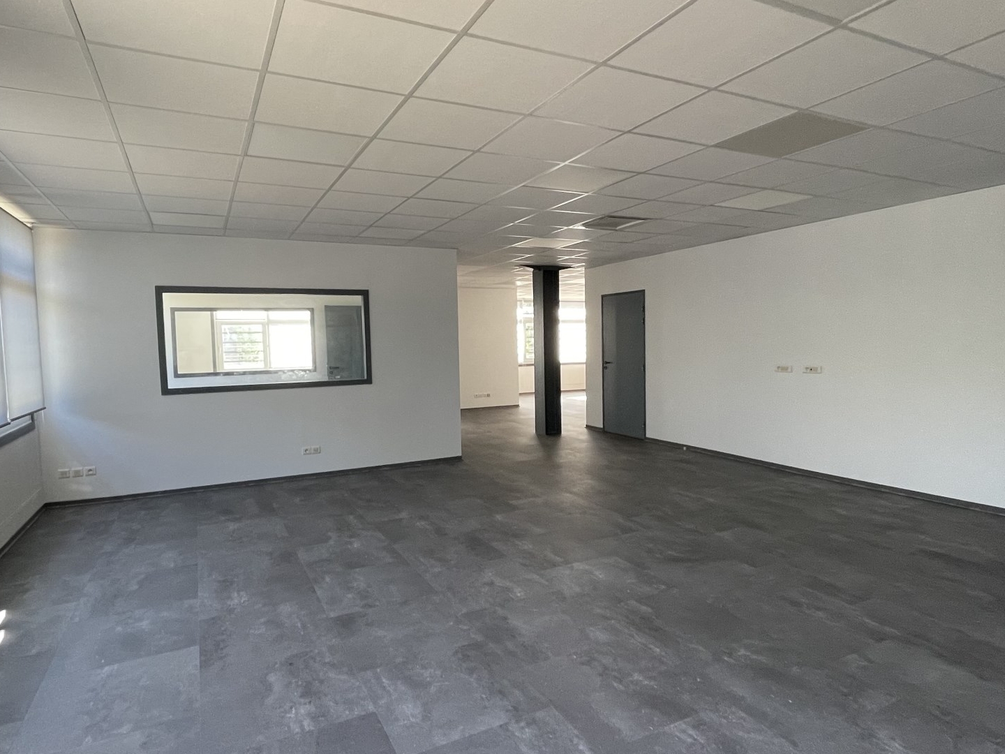 Local professionnel 868 m²
