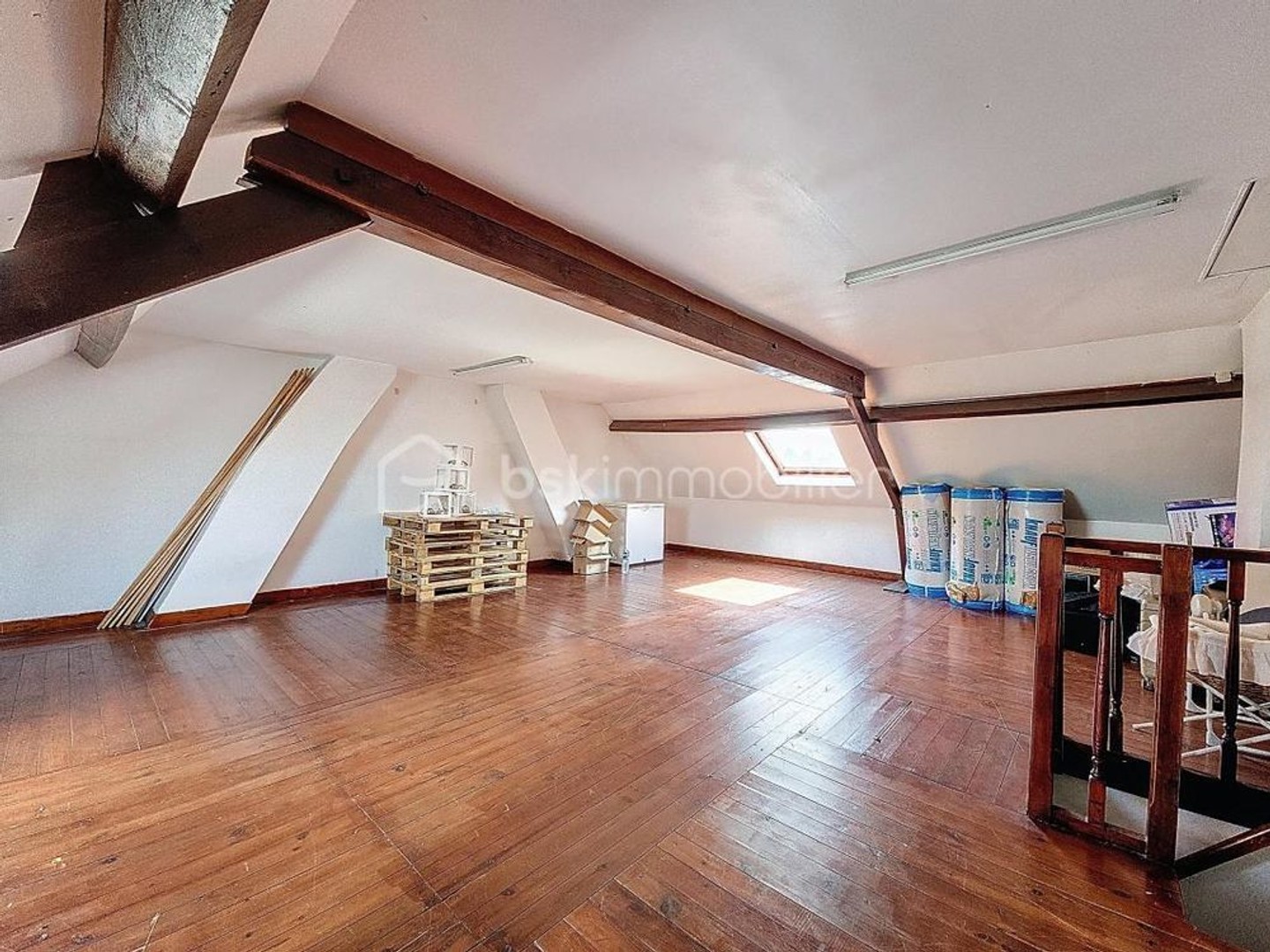 IMMEUBLE RARE, IDÉAL INVESTISSEUR OU GRANDE FAMILLE