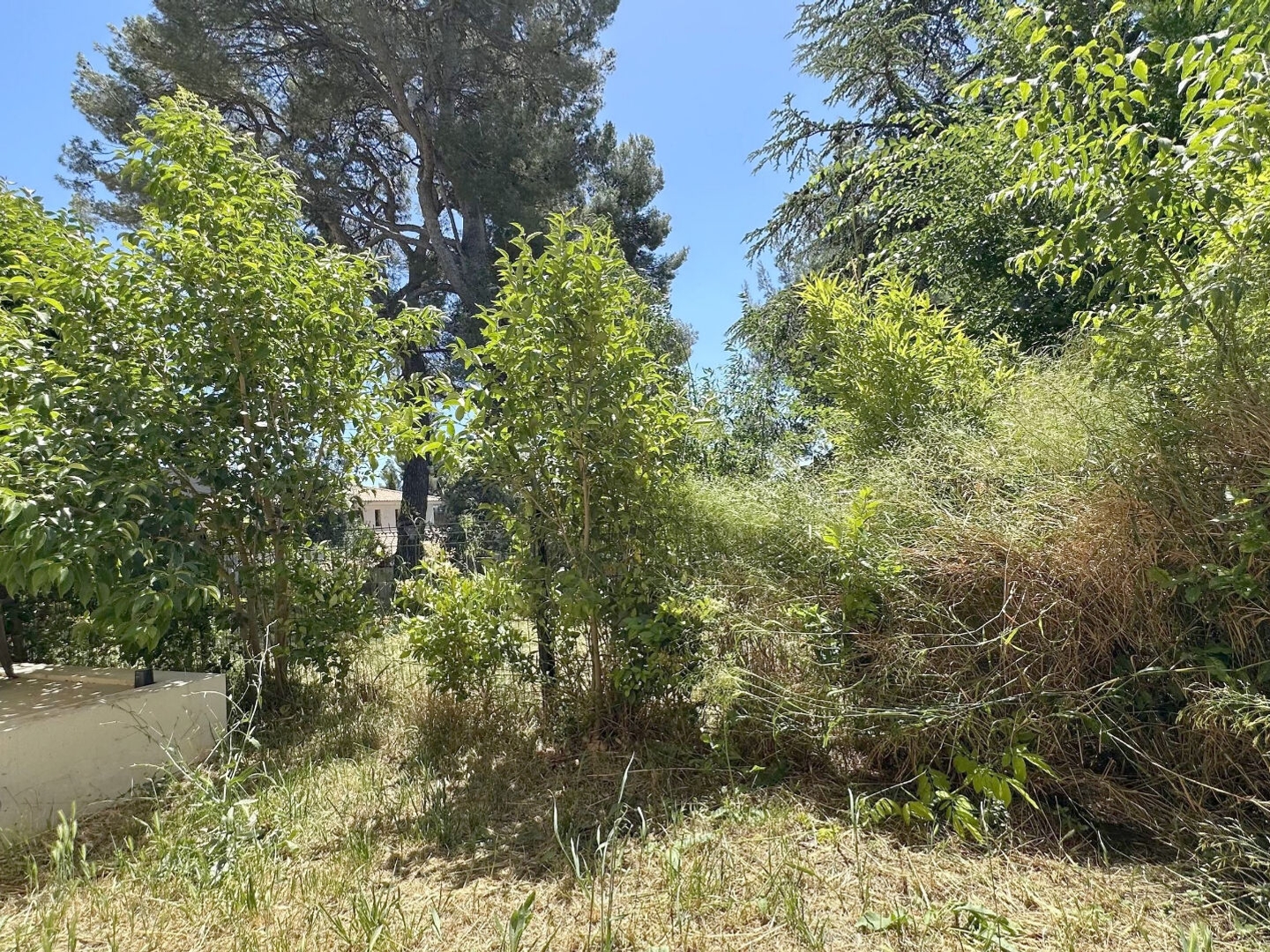 Appartement à vendre - 2 pièces - 44m2 - Aix-En-Provence (13100)