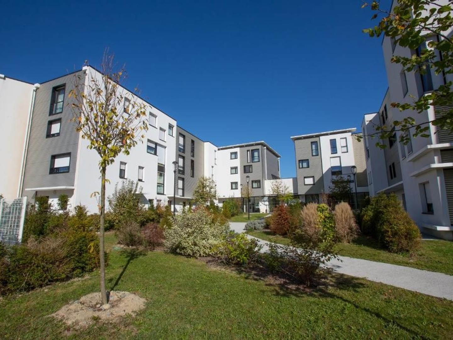 Appartement Type 1 LMNP revente renta. 6.50 %