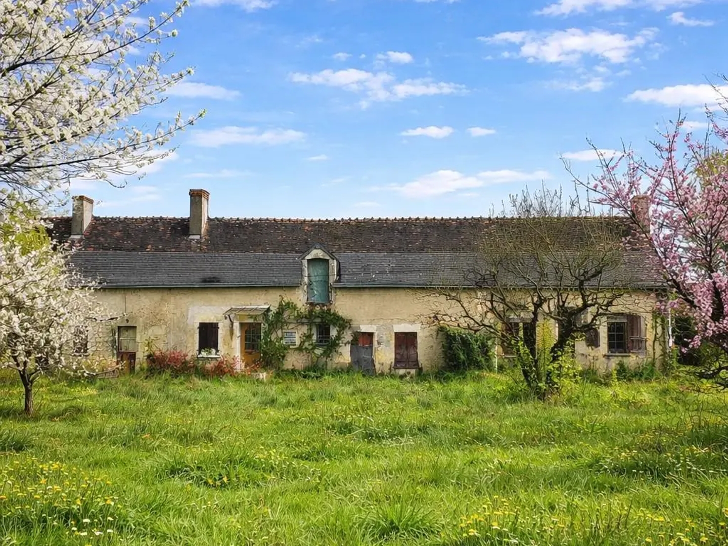 Maison 80 m²