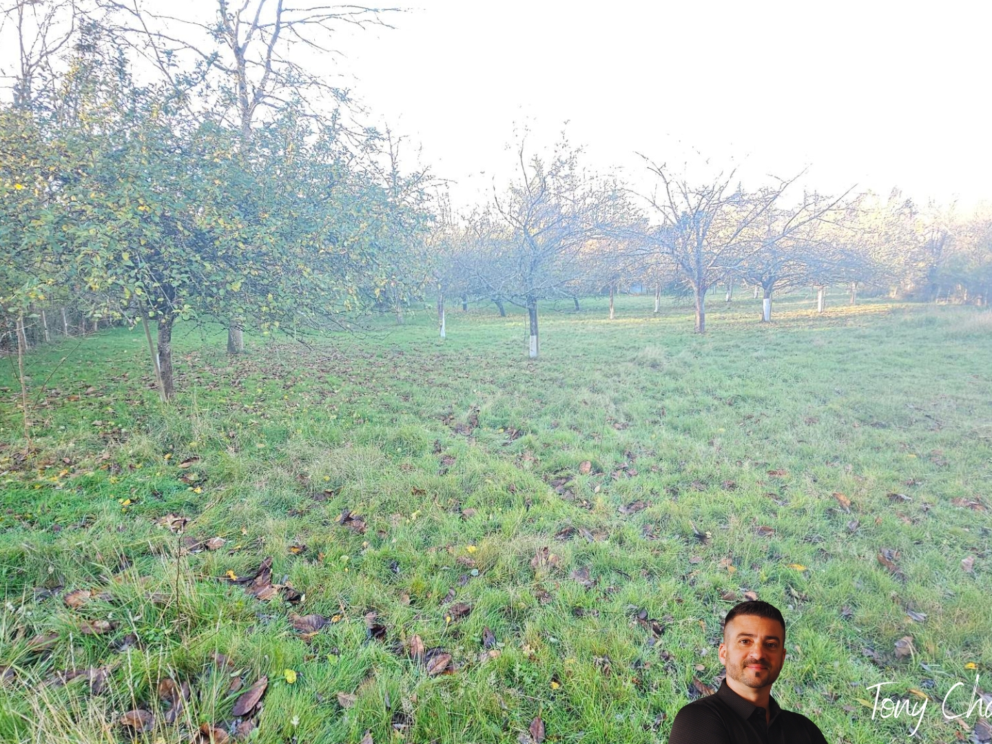 Terrain à vendre - 18104m2 - Sargé-Sur-Braye (41170)