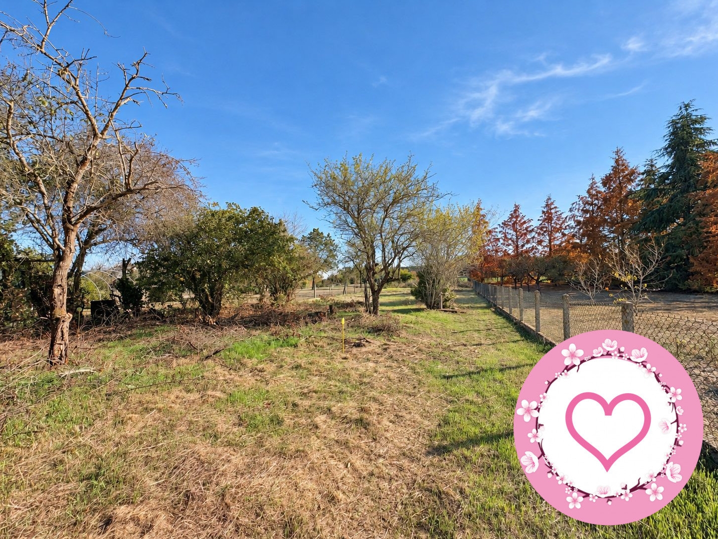 Terrain à vendre - 994m2 - Sully-Sur-Loire (45600)