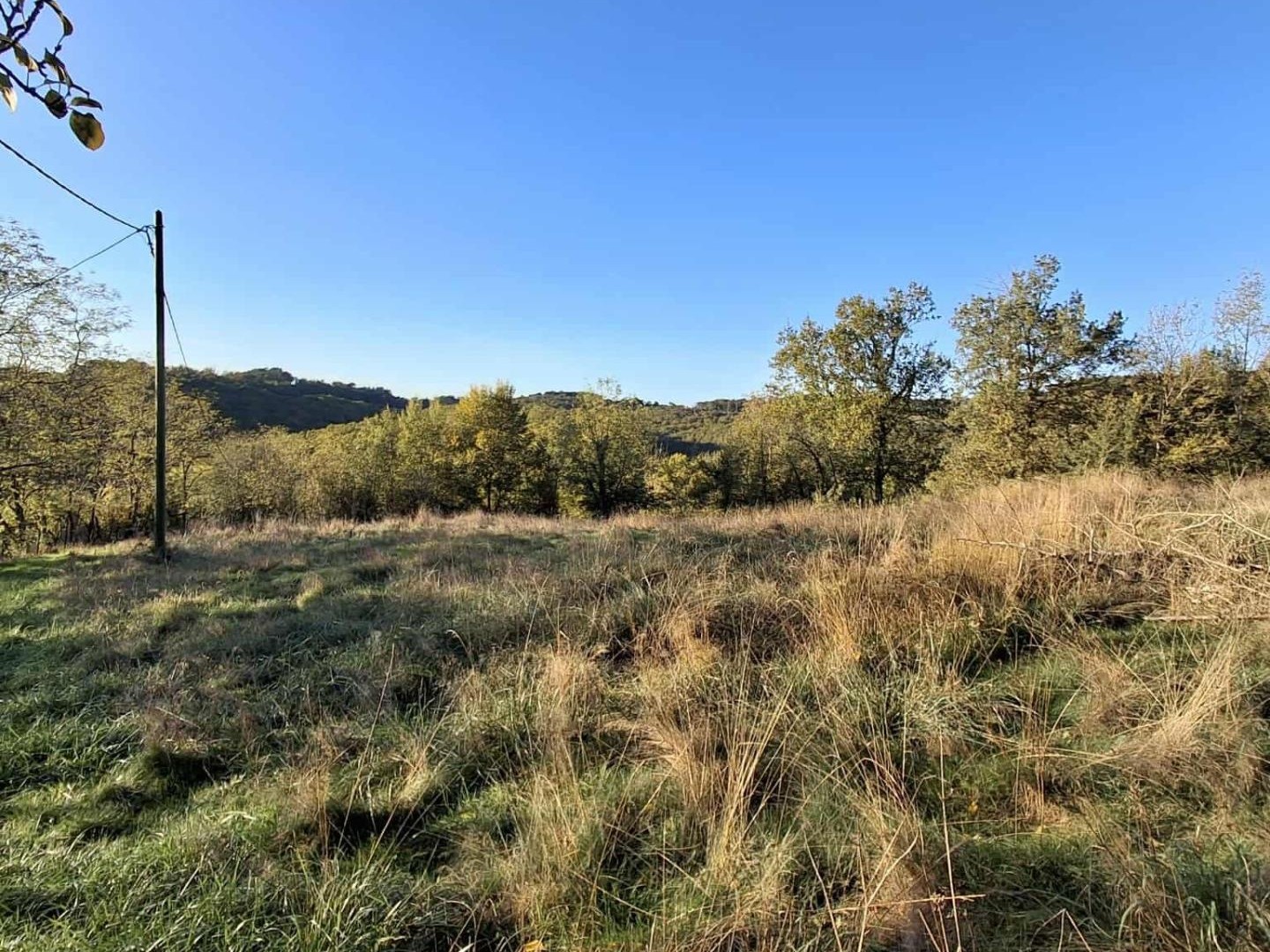 Terrain agricole