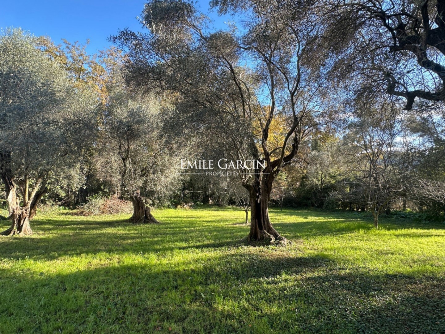 A vendre, Côte d'Azur, Mougins, Coeur de Mougins, propriété de
