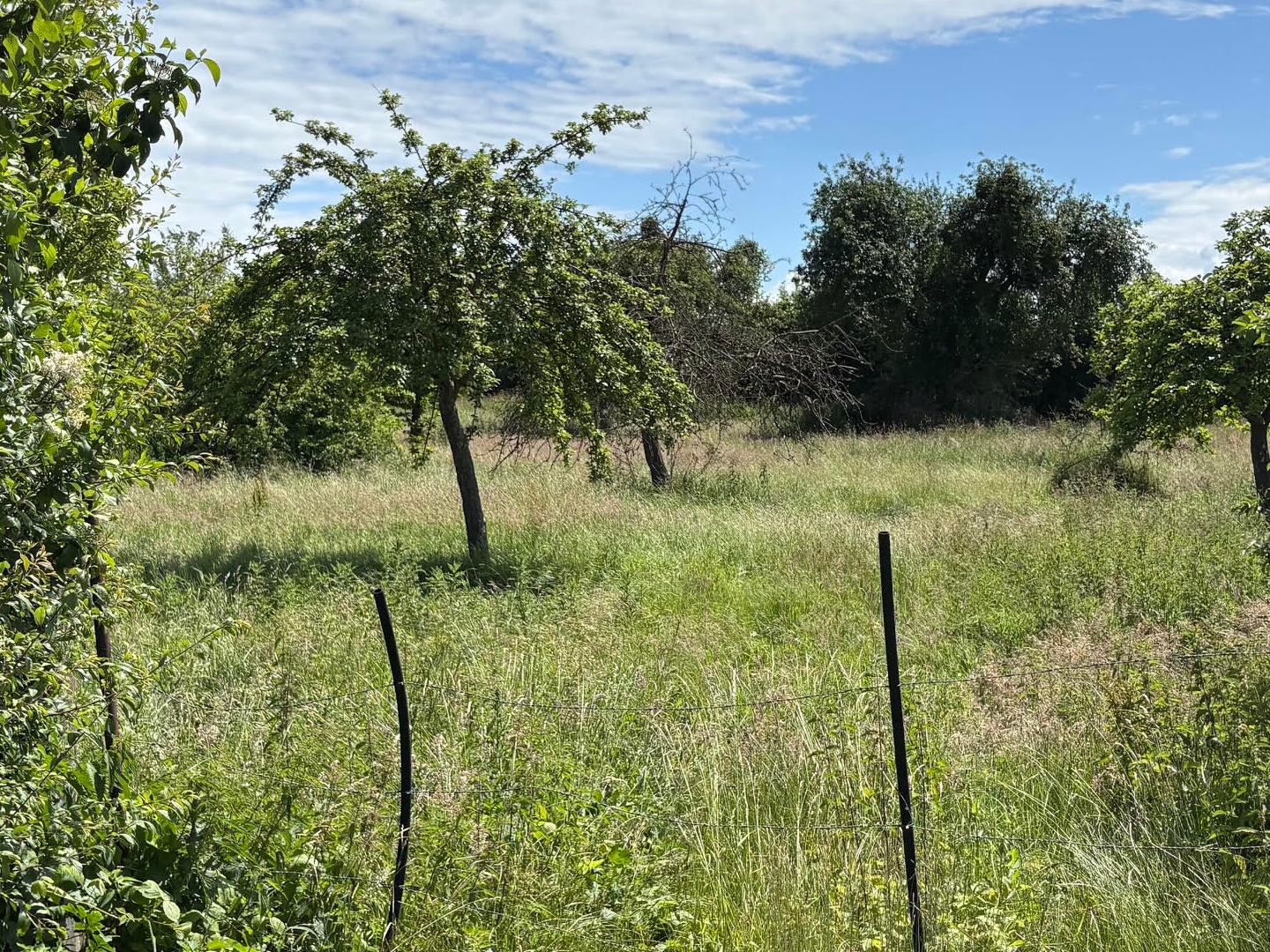Maison à vendre - 84m2 - Berlaimont (59145)