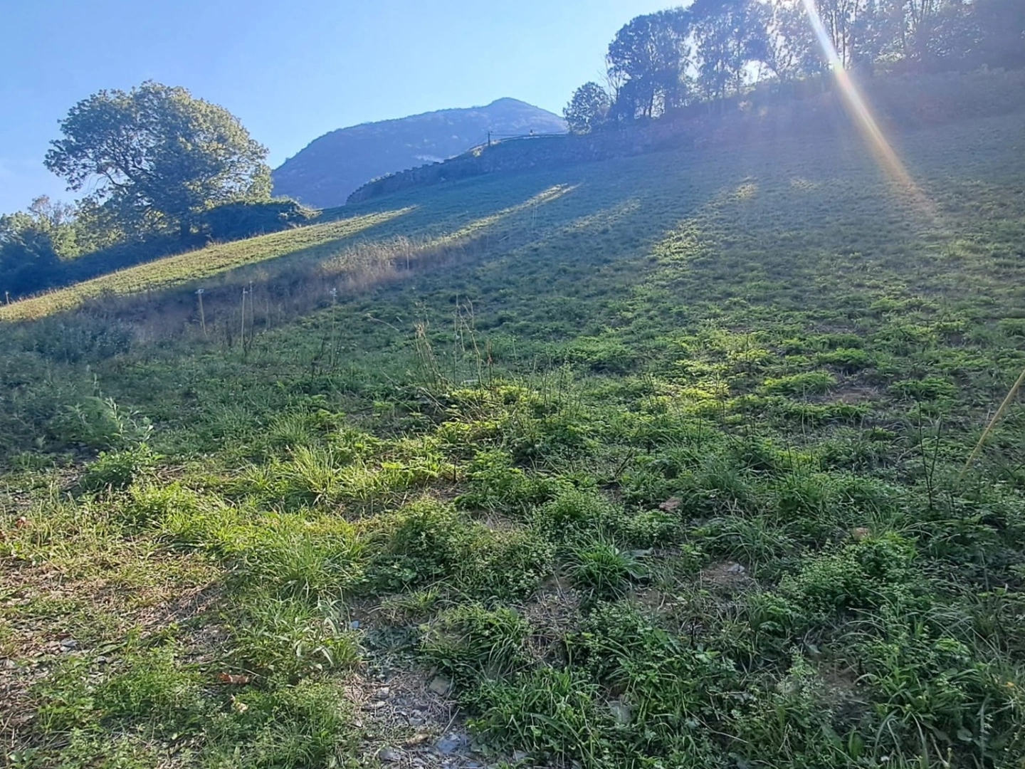Terrain 7511 m²