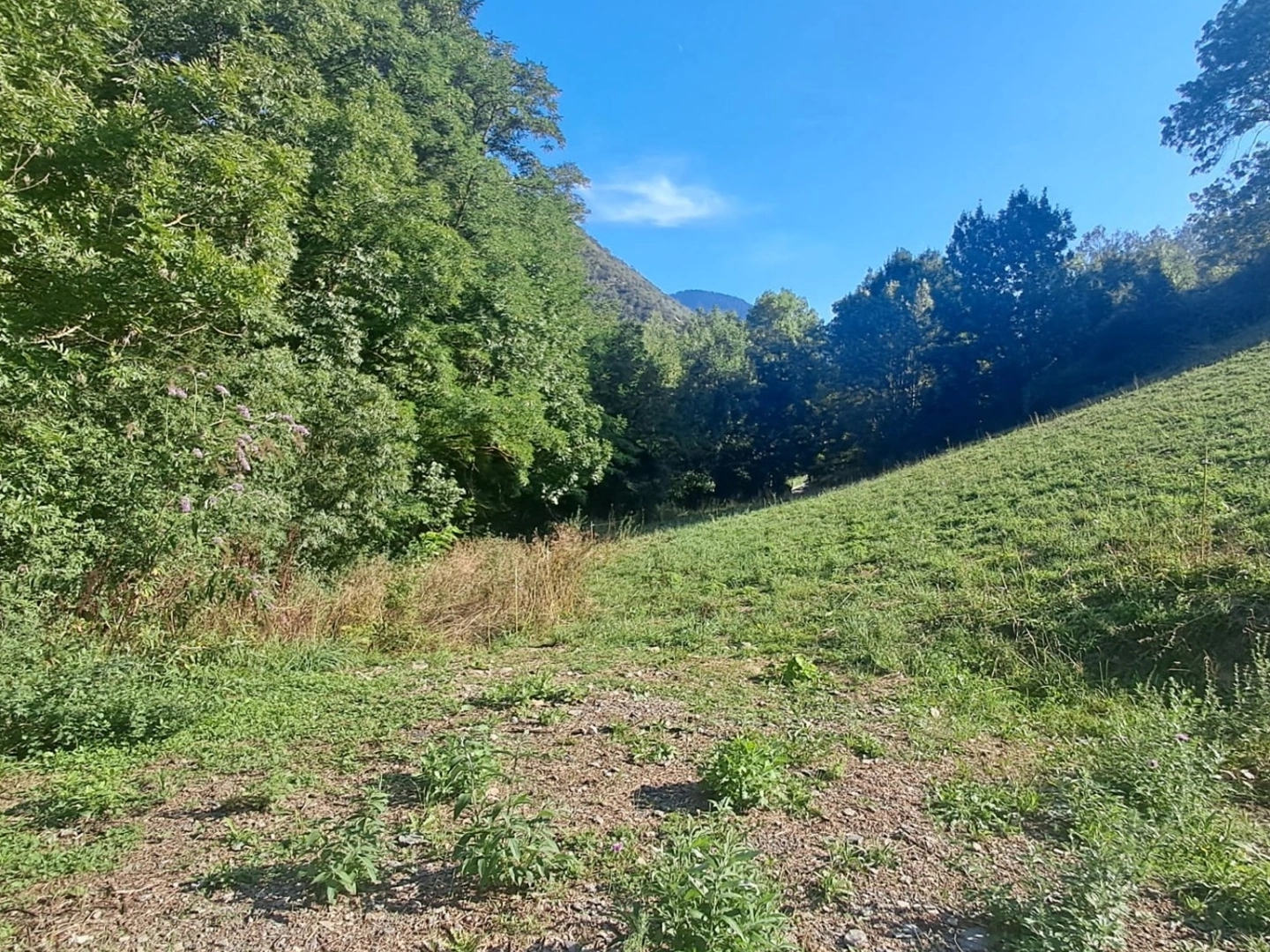 Terrain à vendre - 7511m2 - Beyrède-Jumet-Camous (65410)