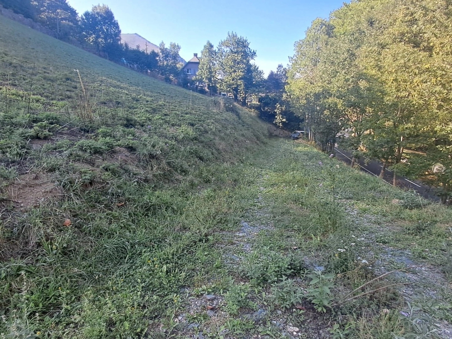Terrain à vendre - 7511m2 - Beyrède-Jumet-Camous (65410)