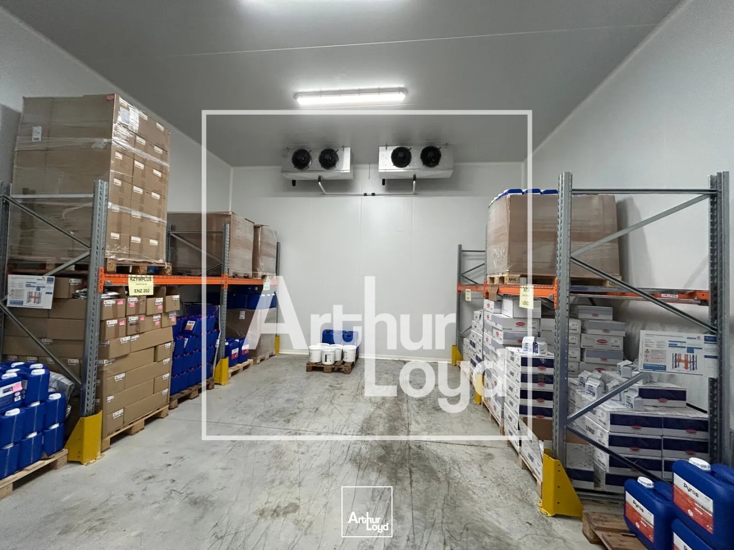 Locaux à vendre - 982m2 - Béziers (34500)