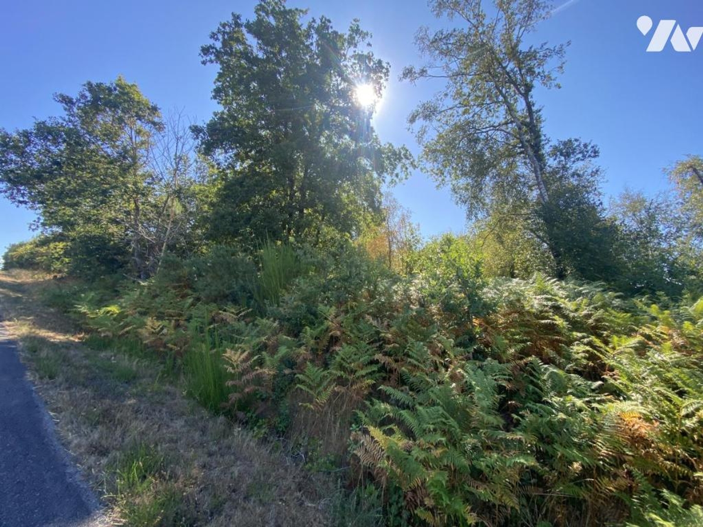 Terrain 9990 m²