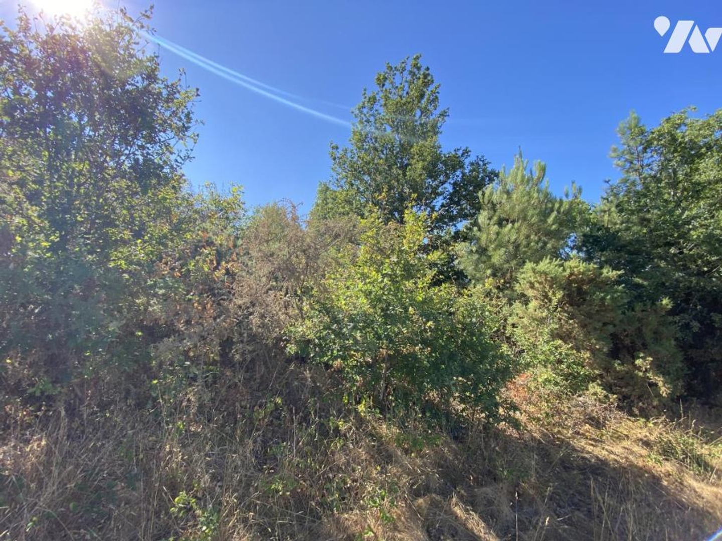 Terrain à vendre - 9990m2 - Billio (56420)