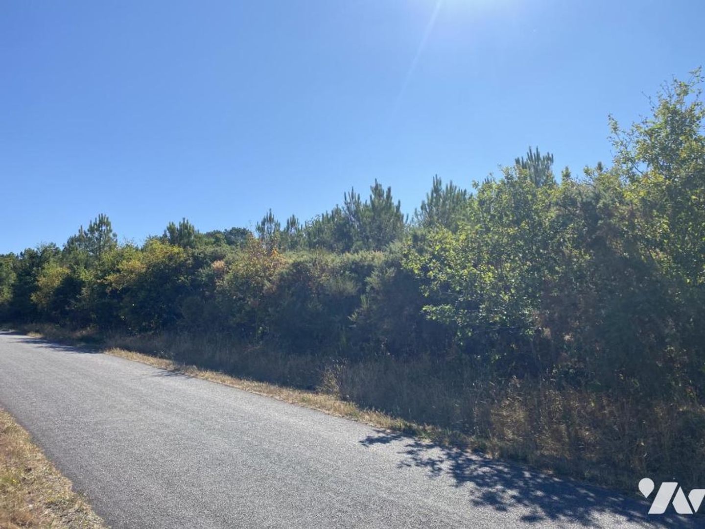 Terrain à vendre - 9990m2 - Billio (56420)