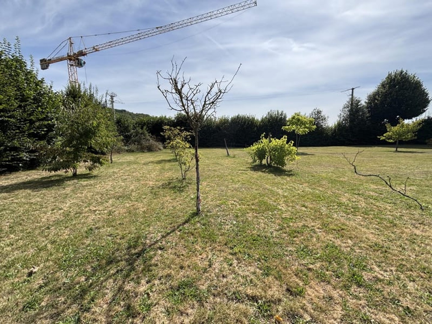 Terrain 1270 m²