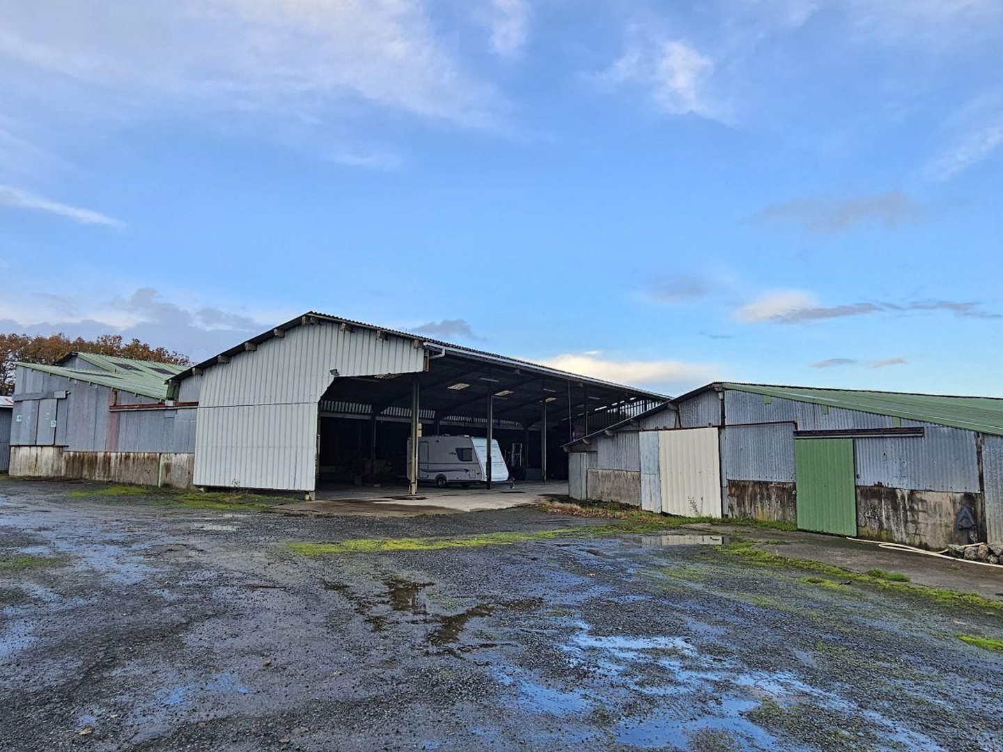 Vente Hangar 1 300 m²