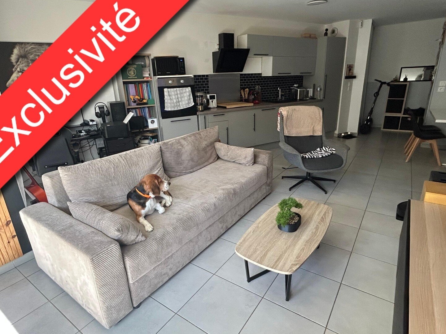 Appartement