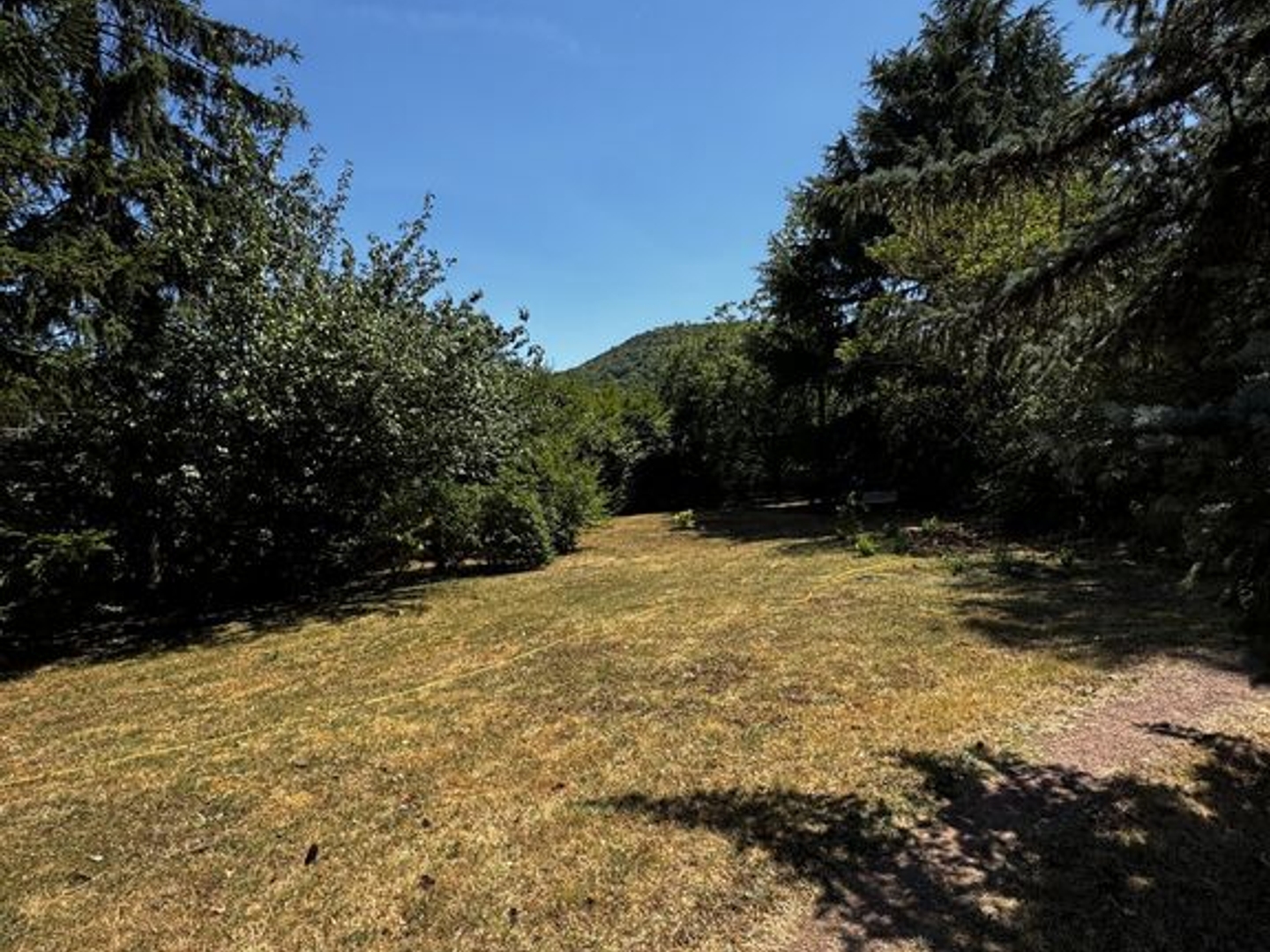 Terrain 3509 m²