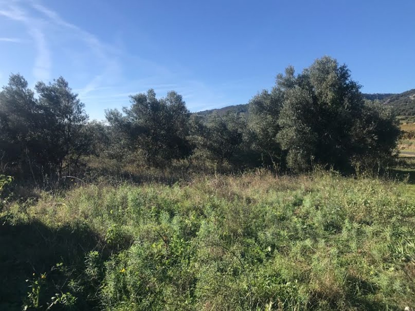 Terrain 250 m²