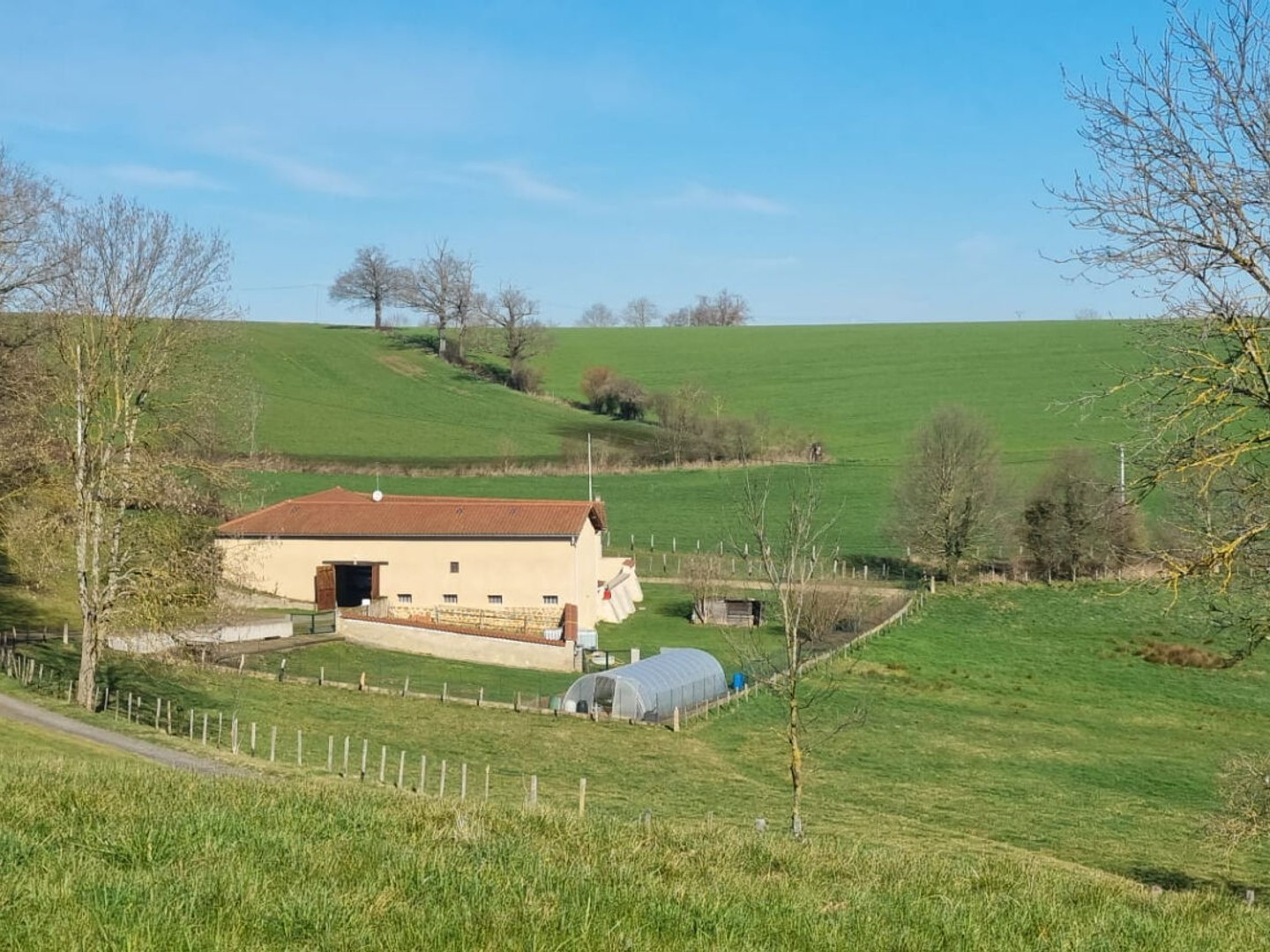 Maison à vendre - 4 pièces - 111m2 - Virigneux (42140)