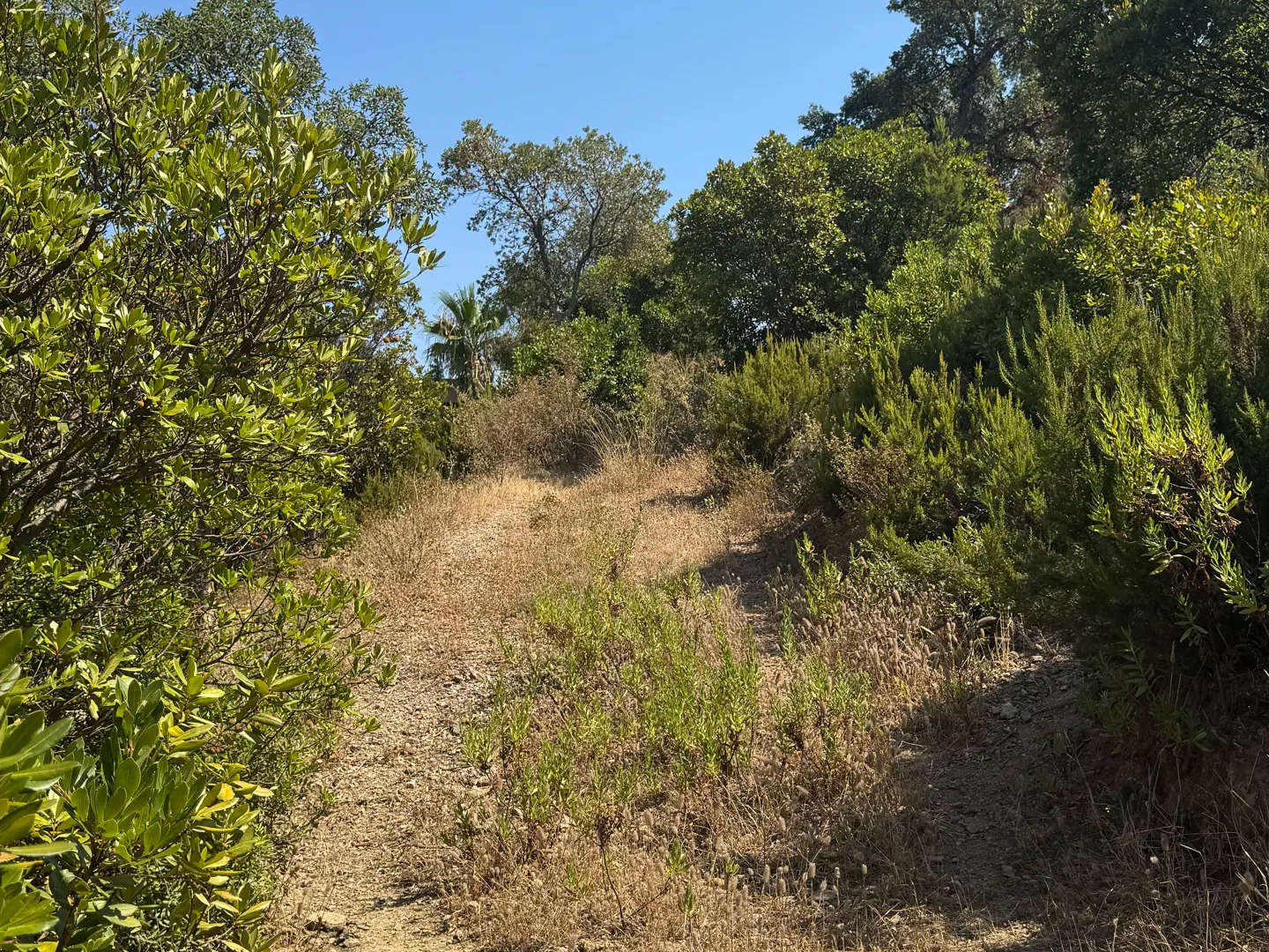 Terrain à vendre - 1900m2 - Roquebrune-Sur-Ar... (83380)