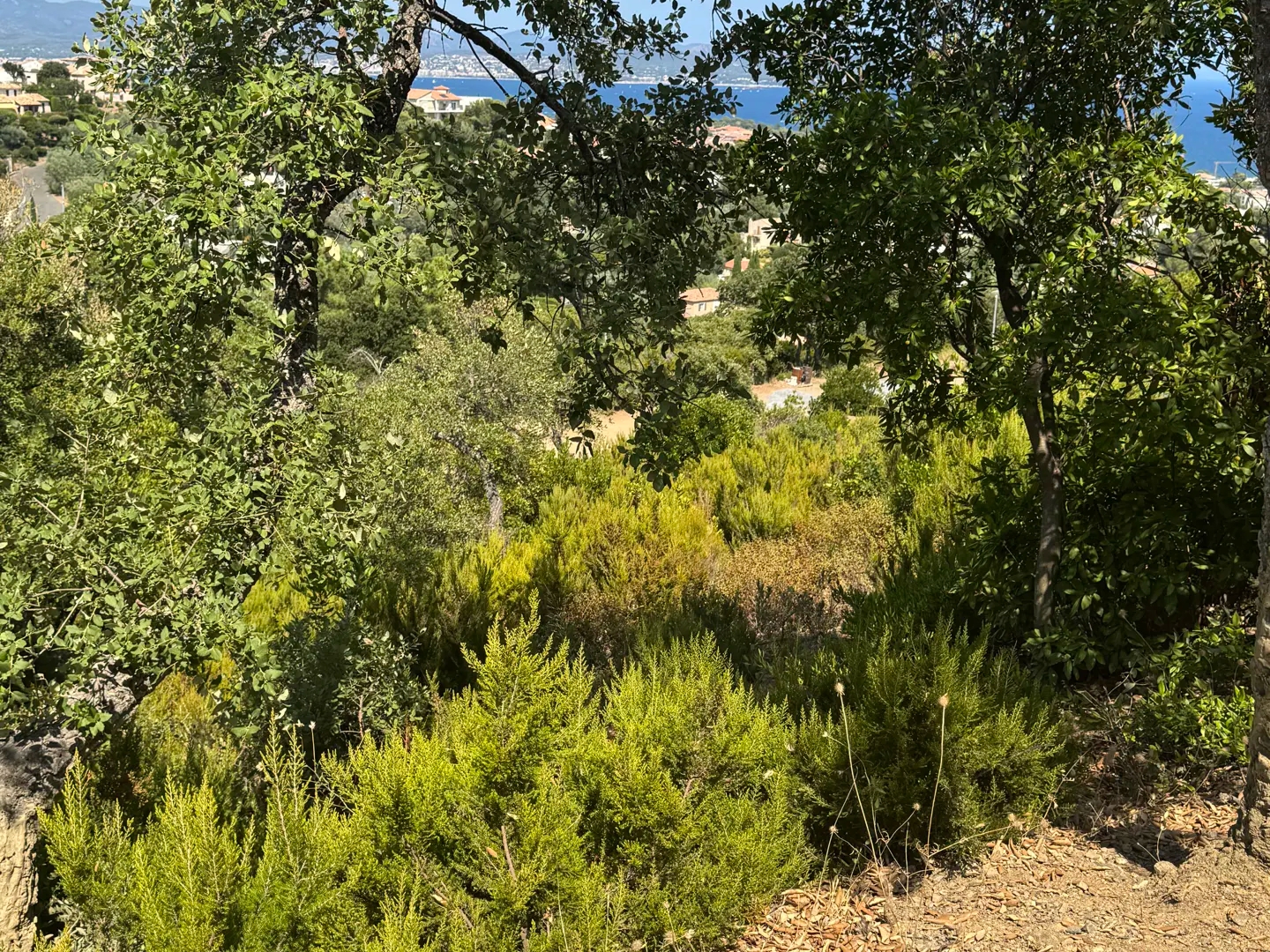 Terrain à vendre - 1900m2 - Roquebrune-Sur-Ar... (83380)