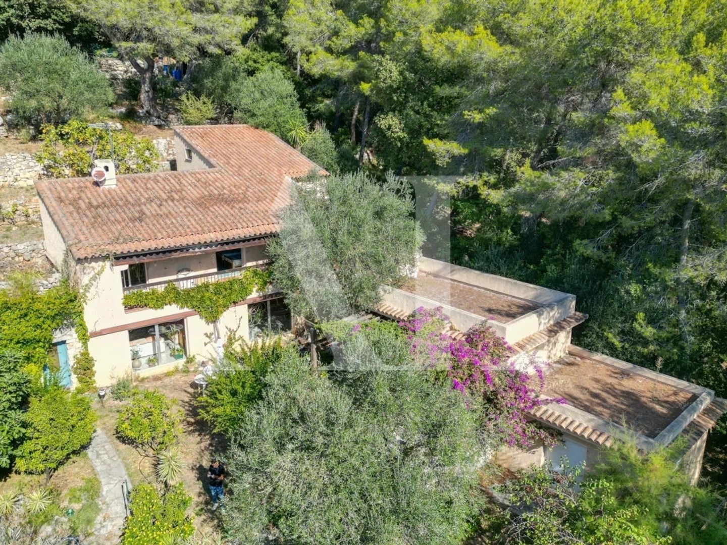 VILLA 7 PIECES - VUE MER