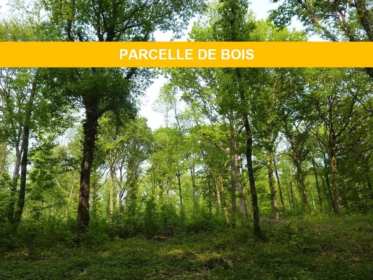 Terrain 1100 m²