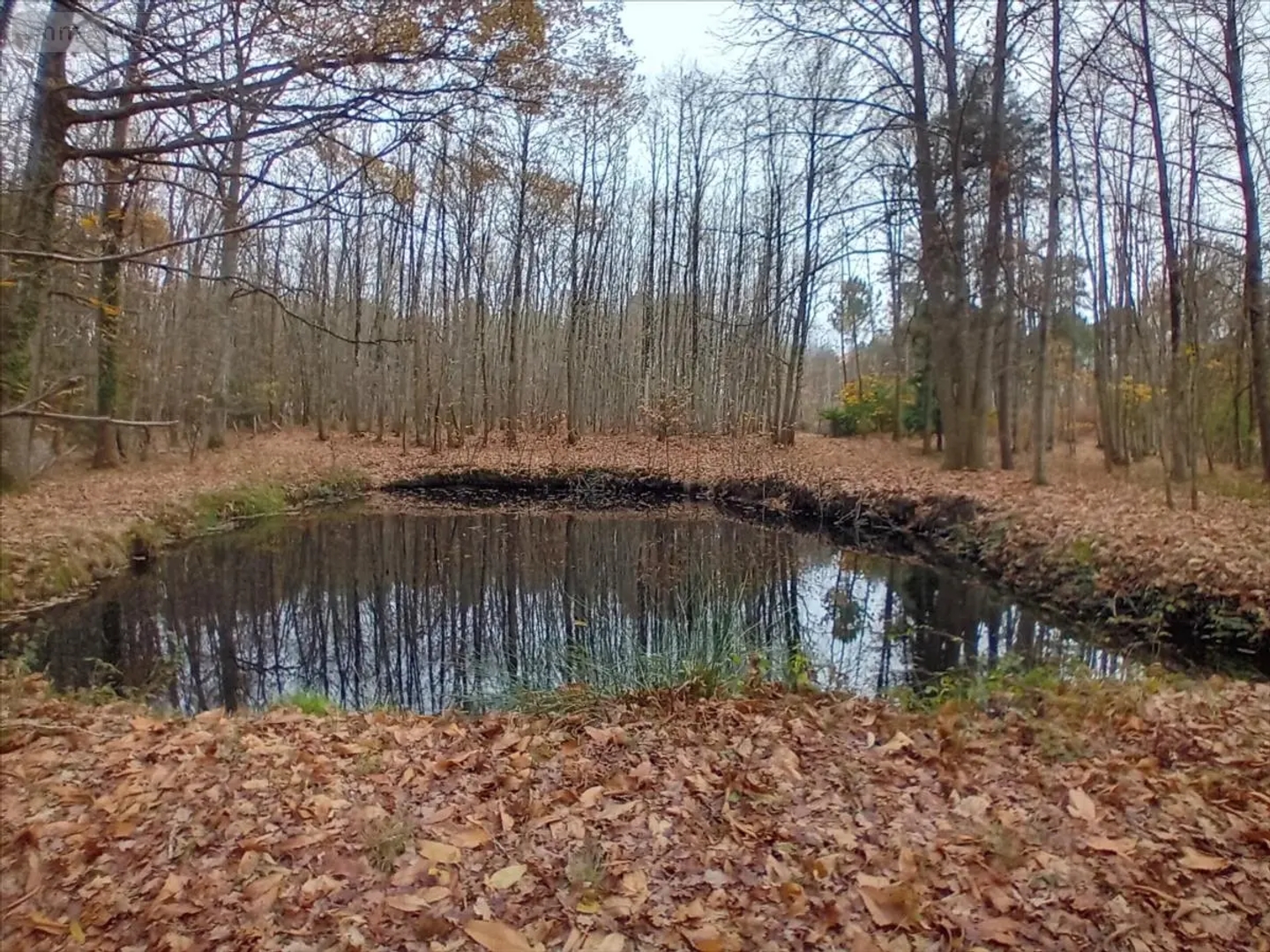 Terrain à vendre - 60m2 - Brette-Les-Pins (72250)