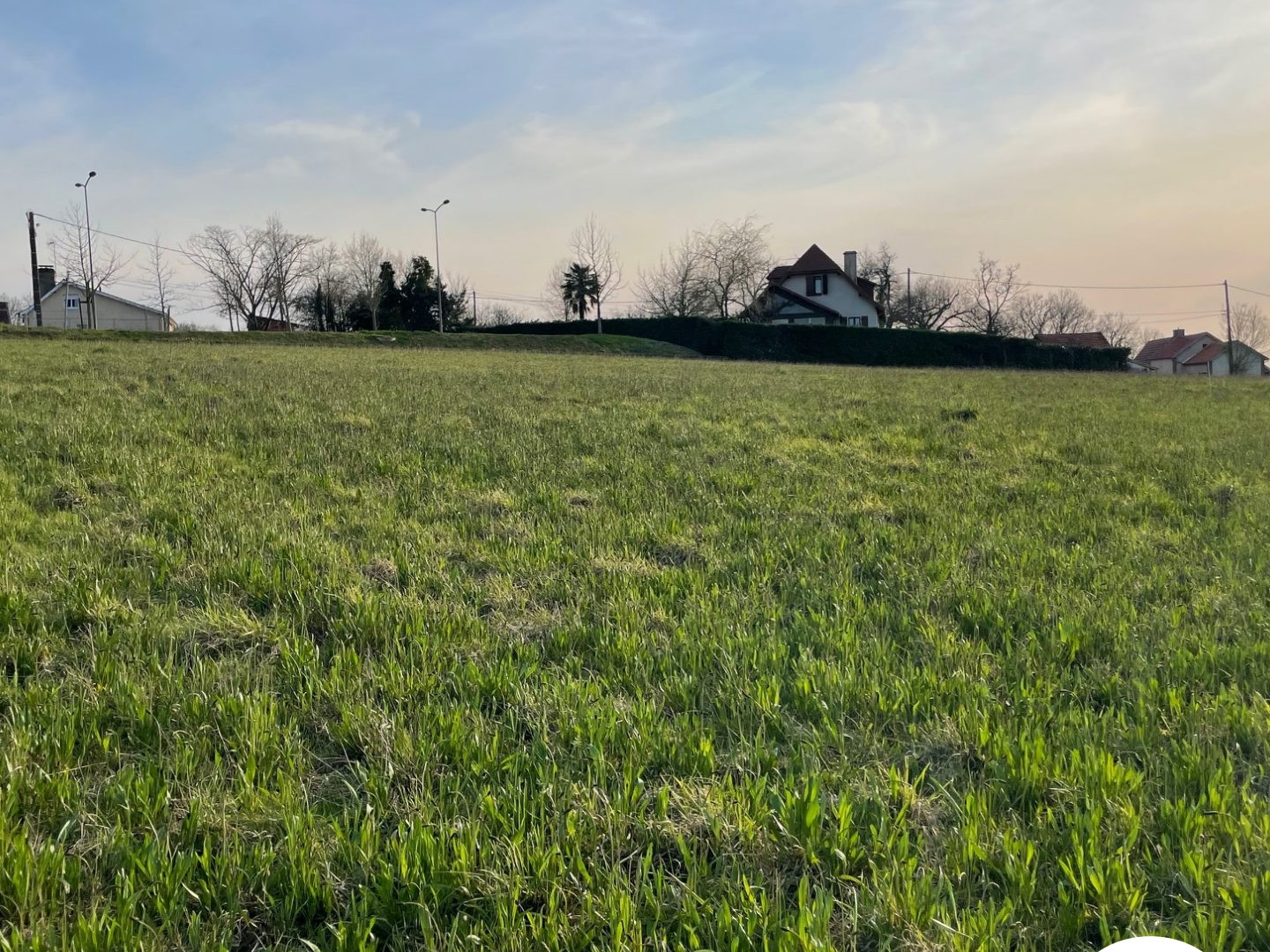 Terrain en individuel 1699 m²