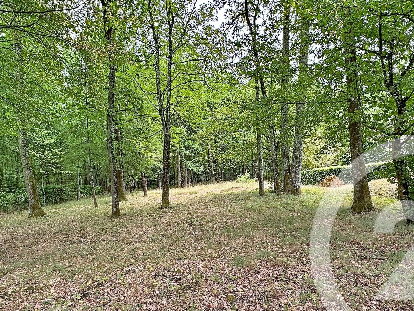Maison à vendre - 6 pièces - 124m2 - Lamotte-Beuvron (41600)