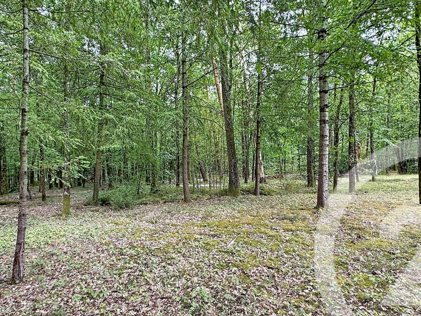 Maison à vendre - 6 pièces - 124m2 - Lamotte-Beuvron (41600)