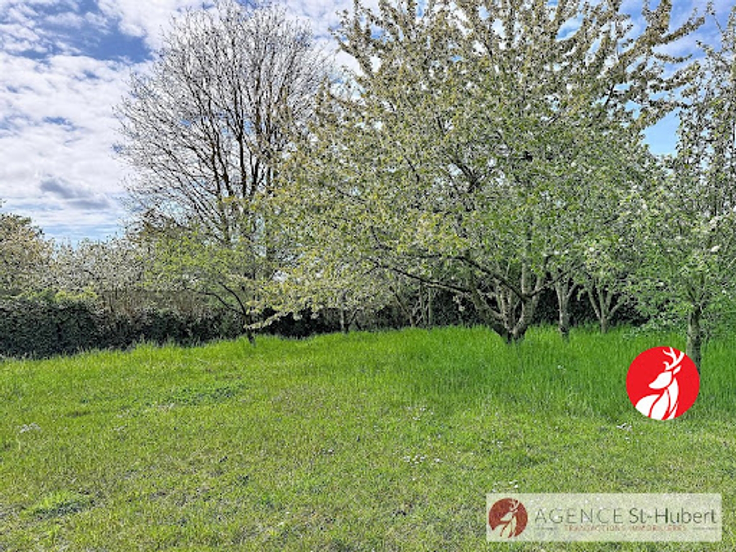 Maison à vendre - 7 pièces - 150m2 - Chailly-En-Bière (77930)