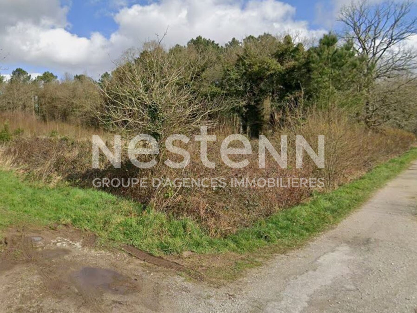 Magnifique prairie de 3 800 m² dans le bourg de Molac