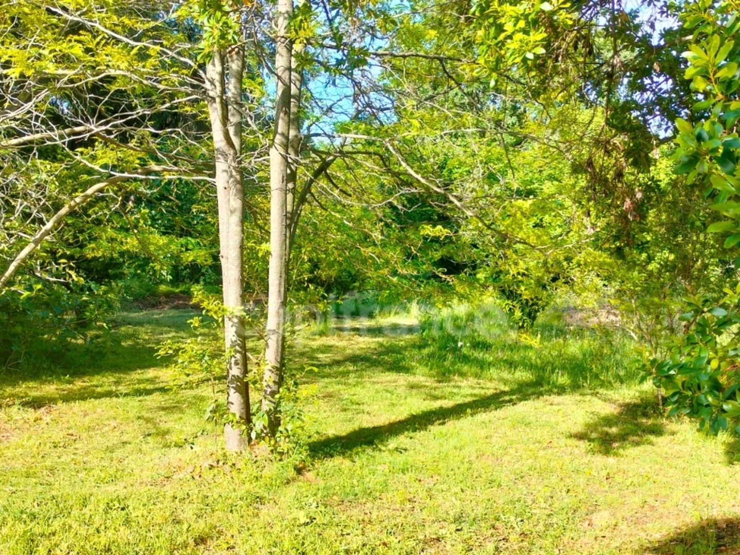 Maison à vendre - 6 pièces - 148m2 - San-Nicolao (20230)