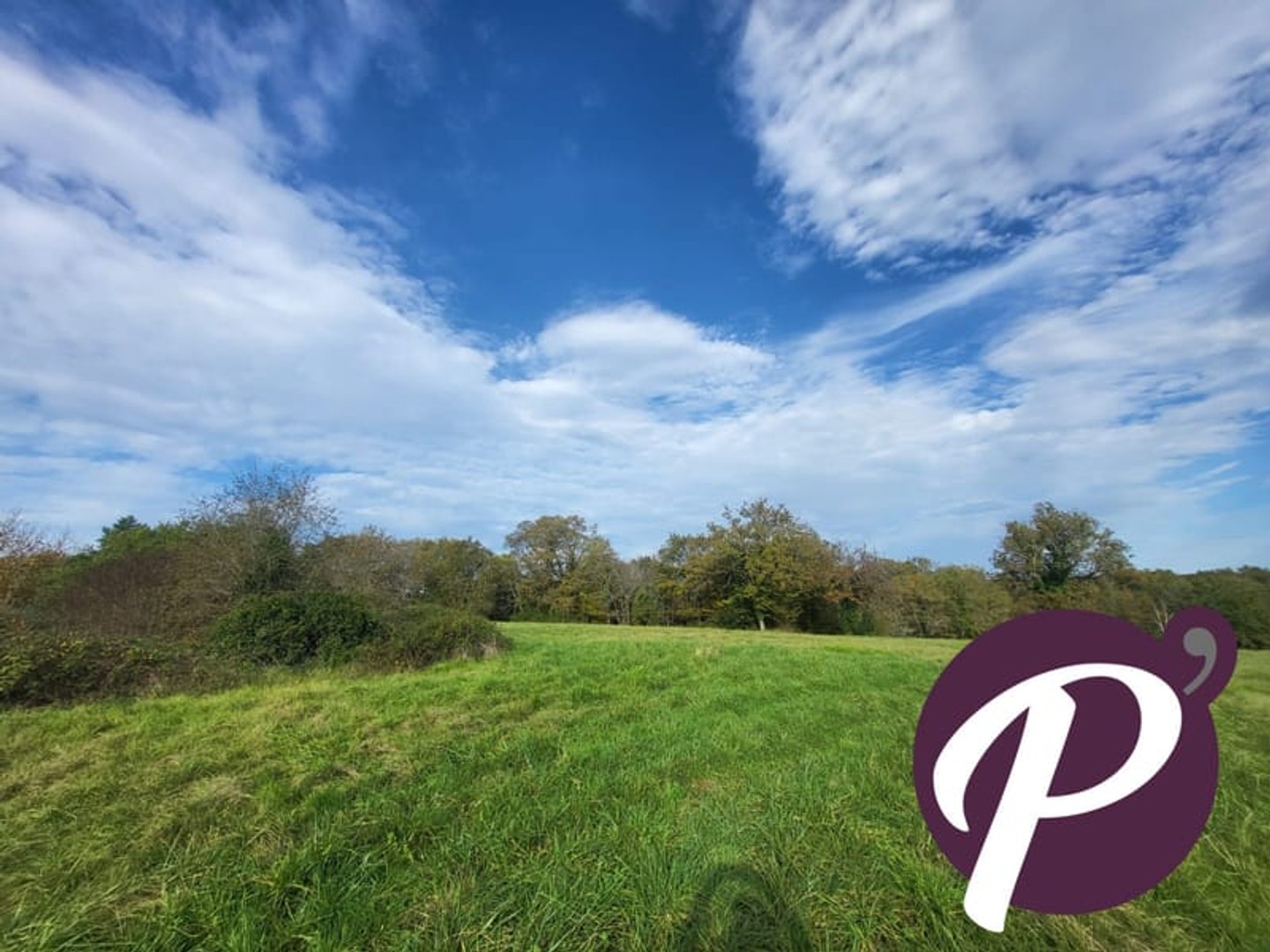 Terrain 15000 m²
