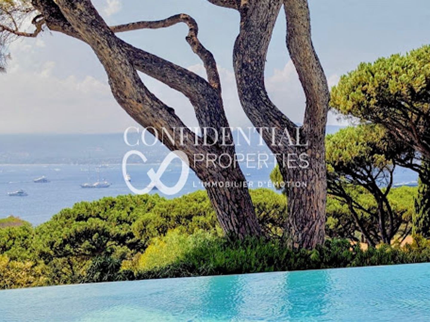 Villa 11 pièces 700 m²